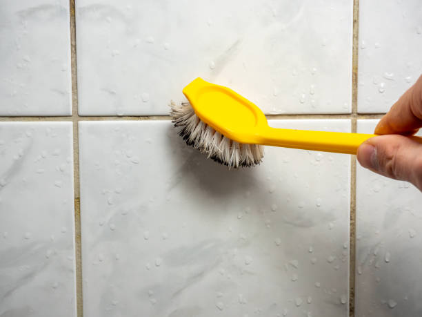 Best Certified Mold Removal  in Shannondale, WV