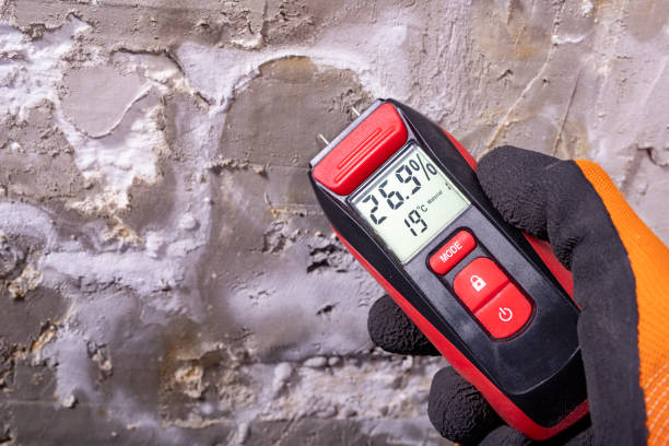 Trusted Shannondale, WV Mold Removal Experts