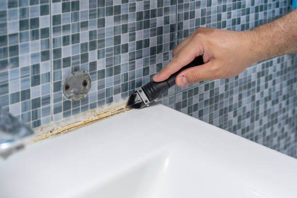 Best Professional Mold Removal  in Shannondale, WV